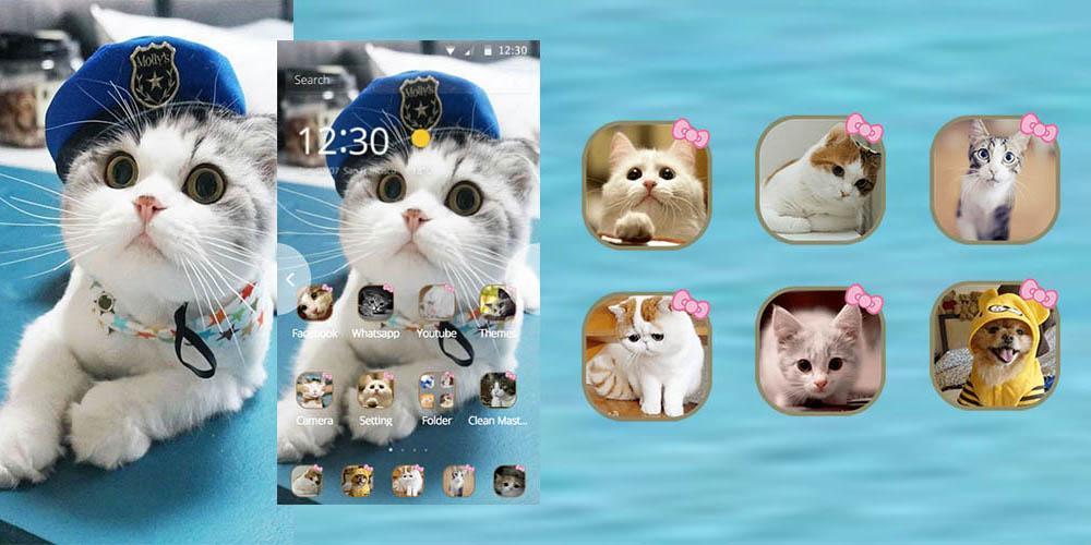 Cat theme-Cute,Adorable,Lazy