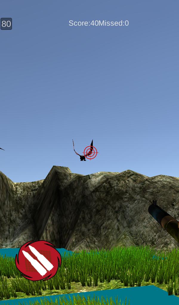 Birds Hunter 2