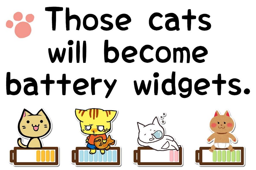 Cat Collection