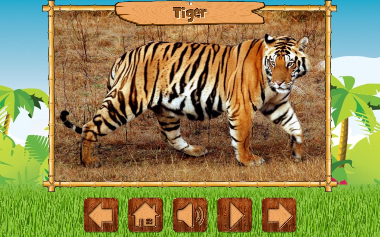 Kids Zoo Free