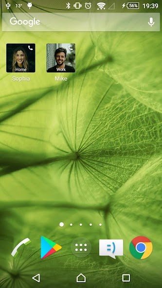 Quick Dial Widget