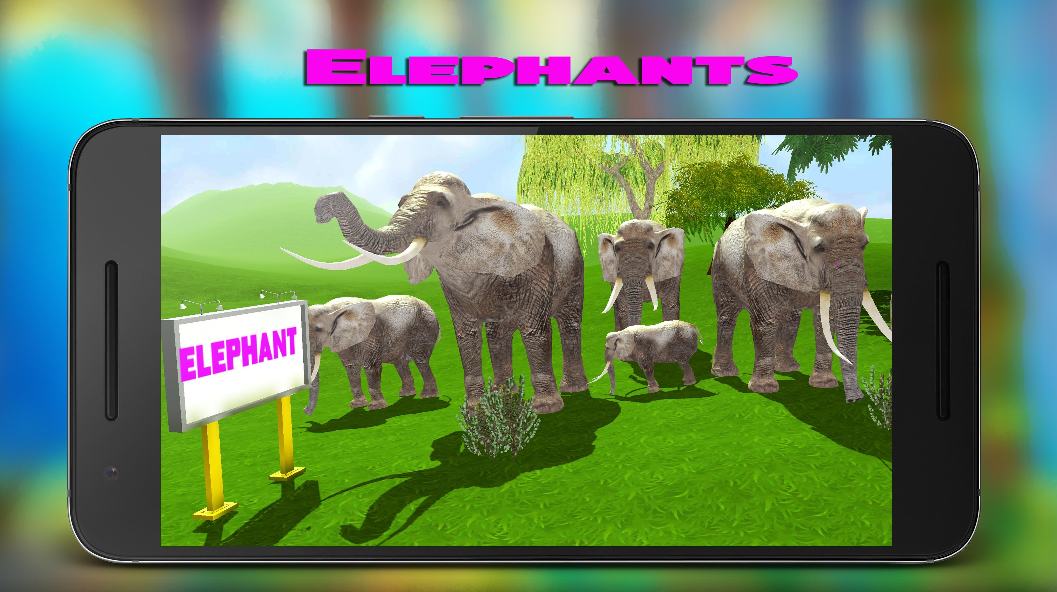 Real Animal Zoo