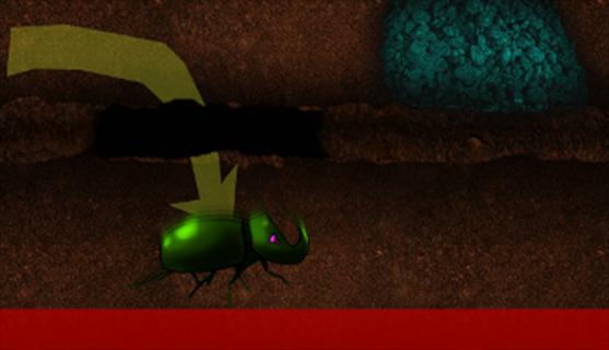 Beetle Escape