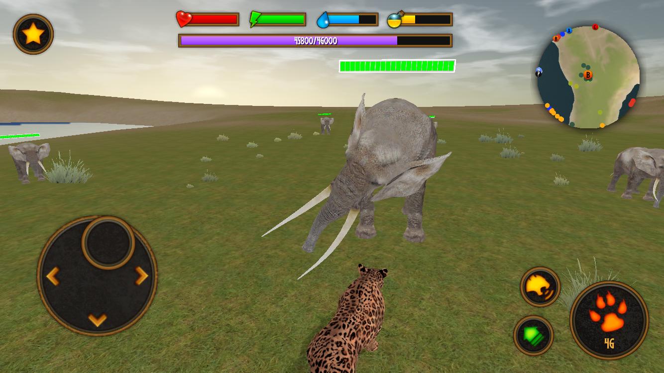 Clan of Leopards