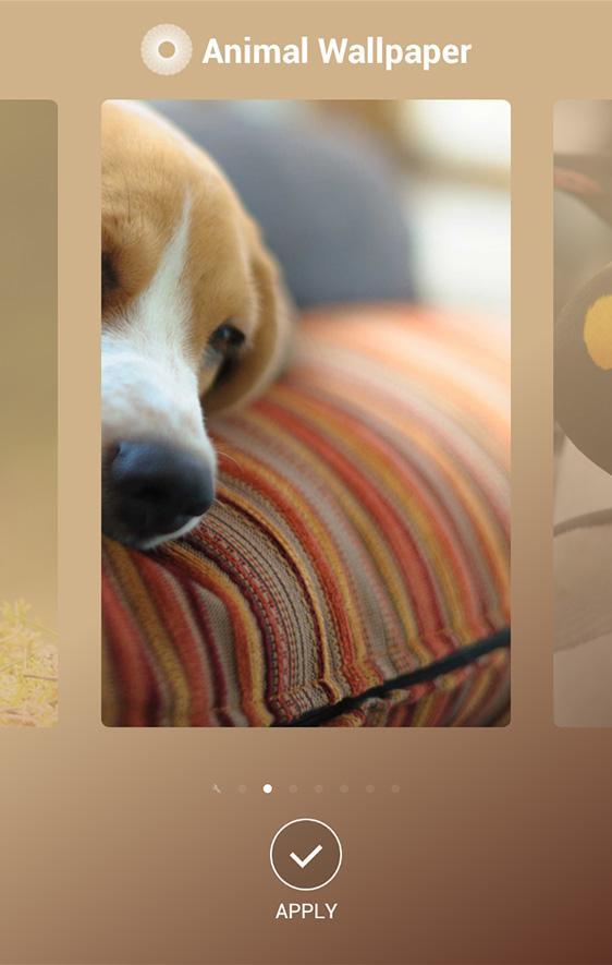 AnimalWallpaper
