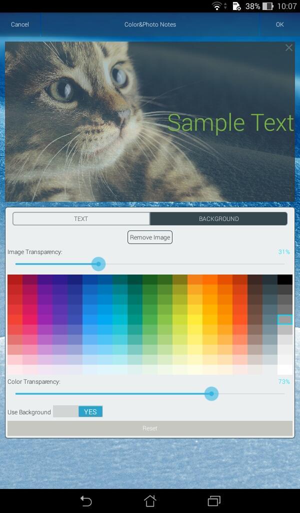 Color&Photo Notes