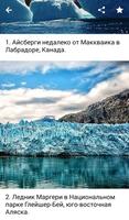 BigPicture
