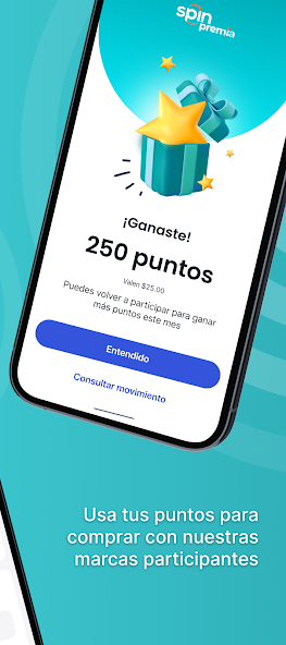 Spin Premia
