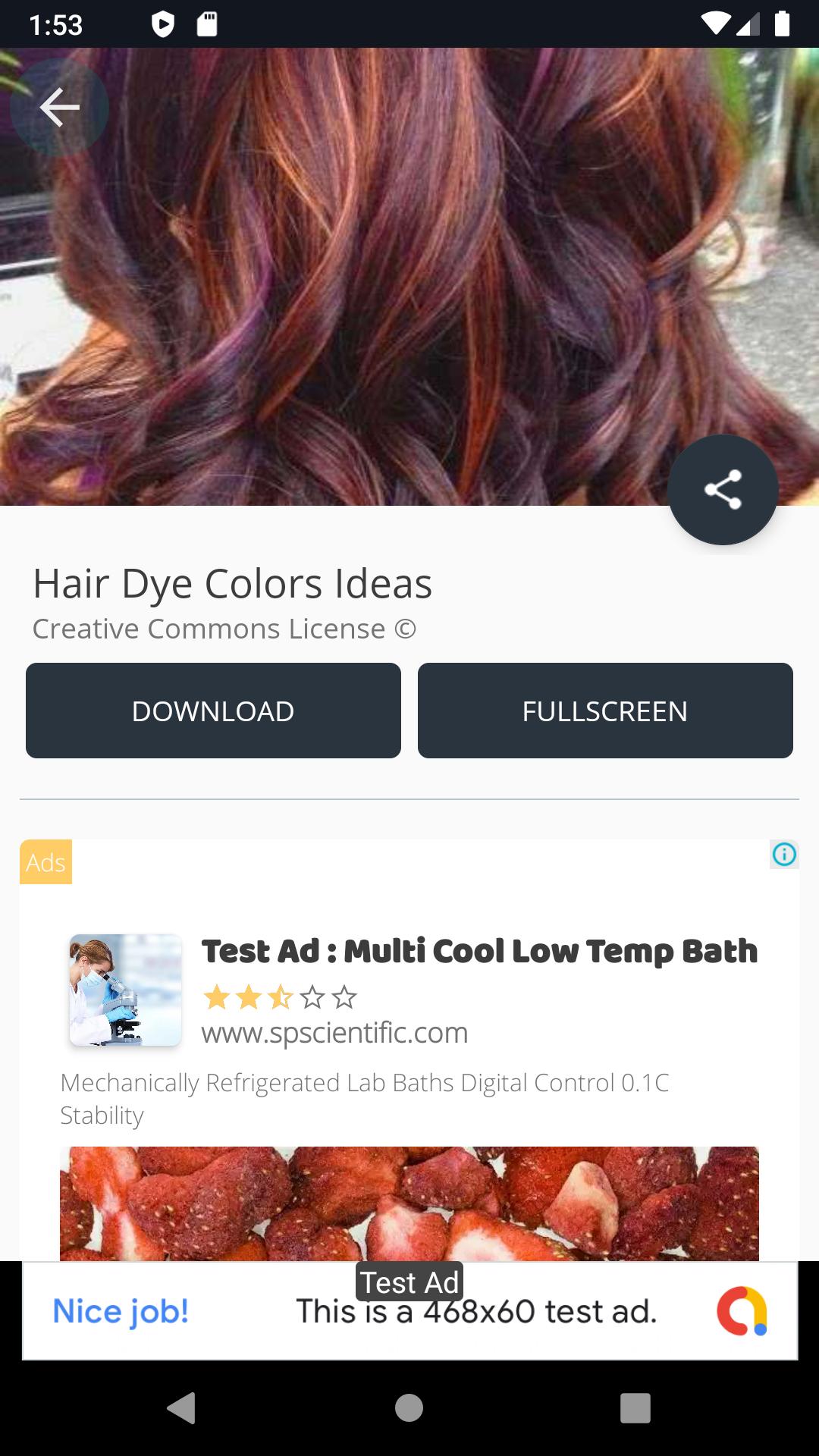 Hair Dye Colors Ideas