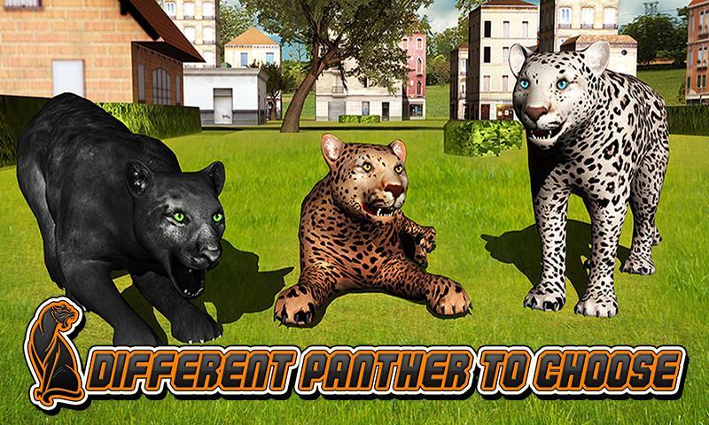 Revenge Of Black Panther 2016