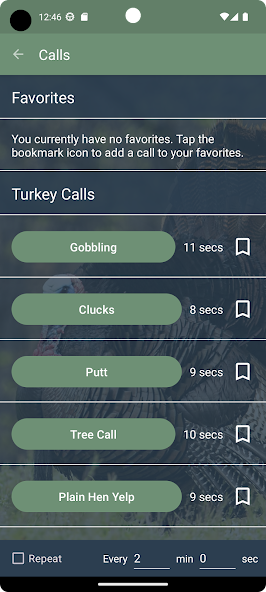 Turkey Calls