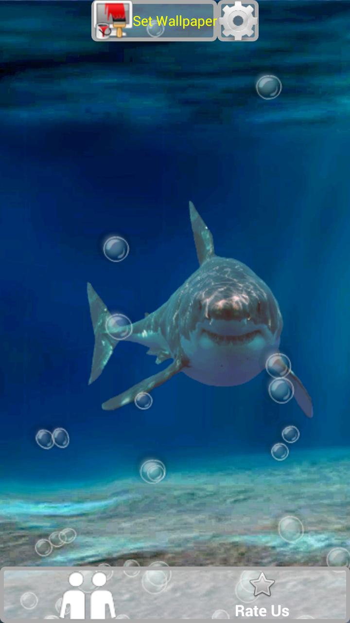 Underwater Shark Dash Scene