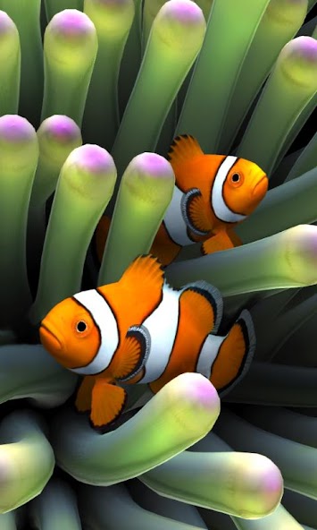 Sim Aquarium Live Wallpaper