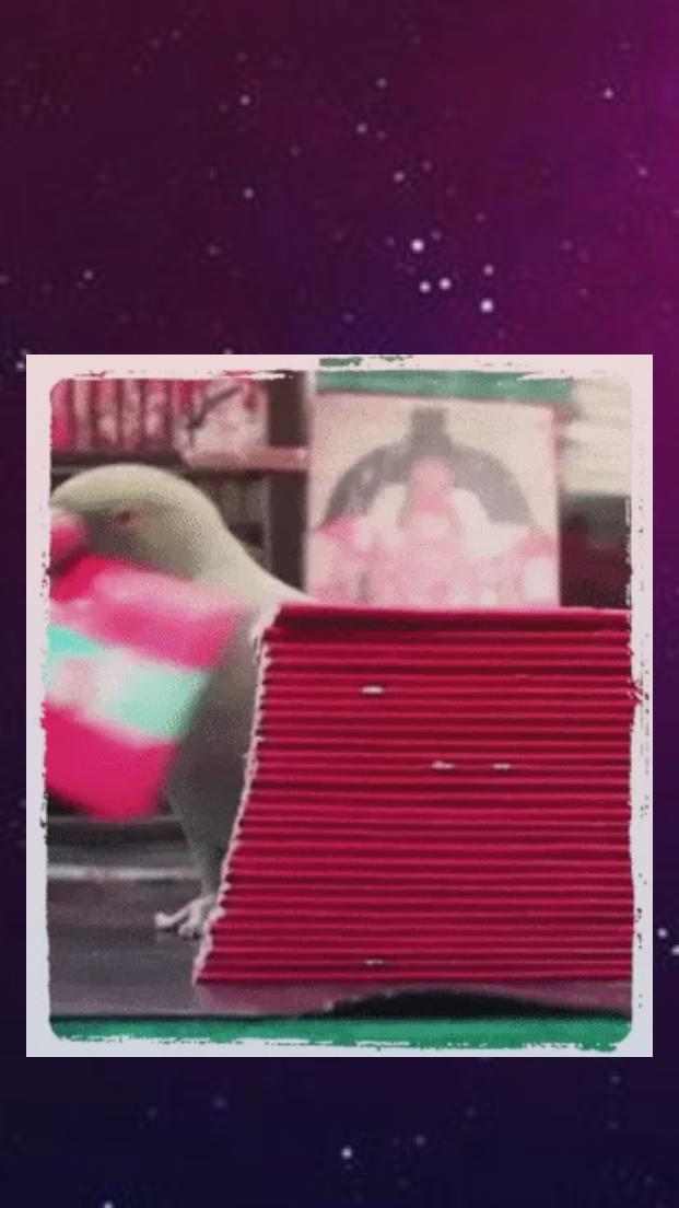 Kili Josiyam Parrot Astrology - Tarot card Reading