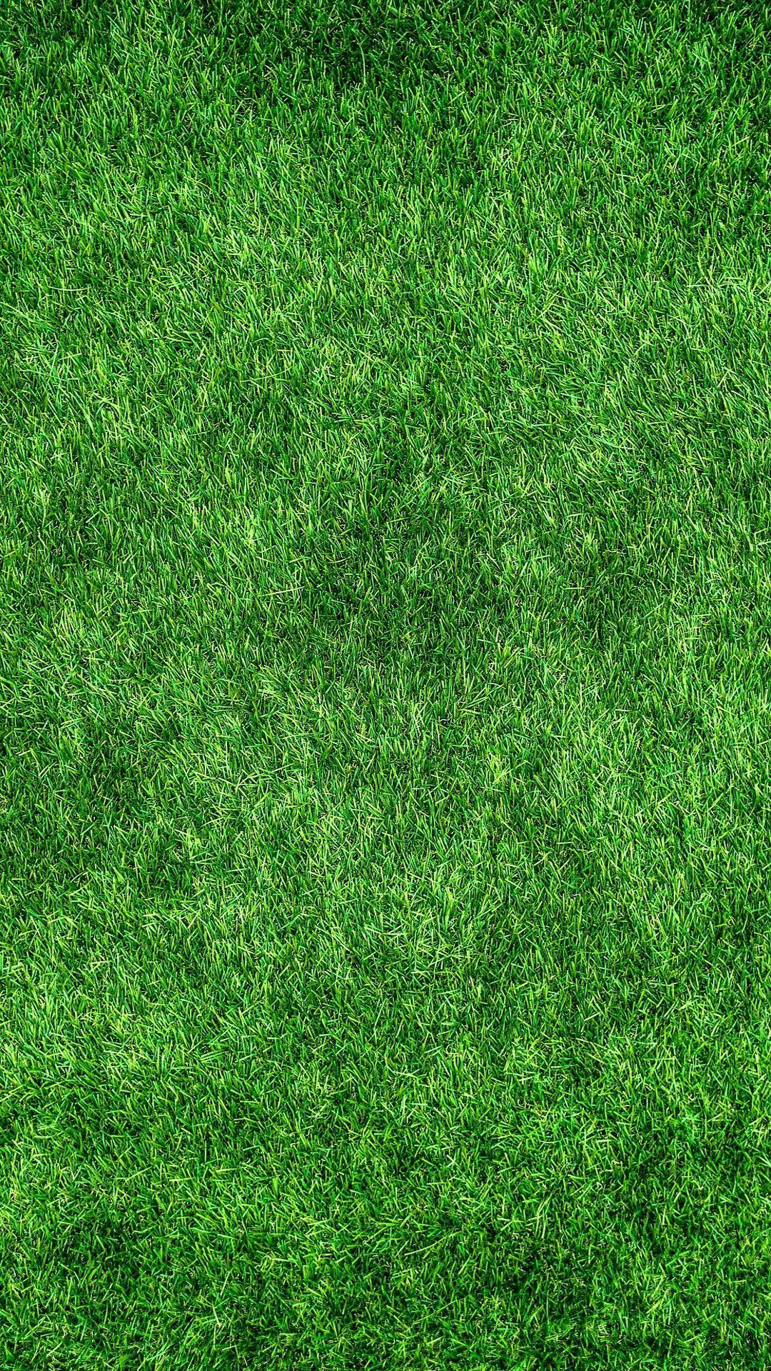 Magic Touch: Grass Live Wallpa