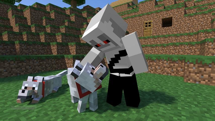 Doggy Ideas Minecraft