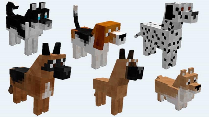 Doggy Ideas Minecraft