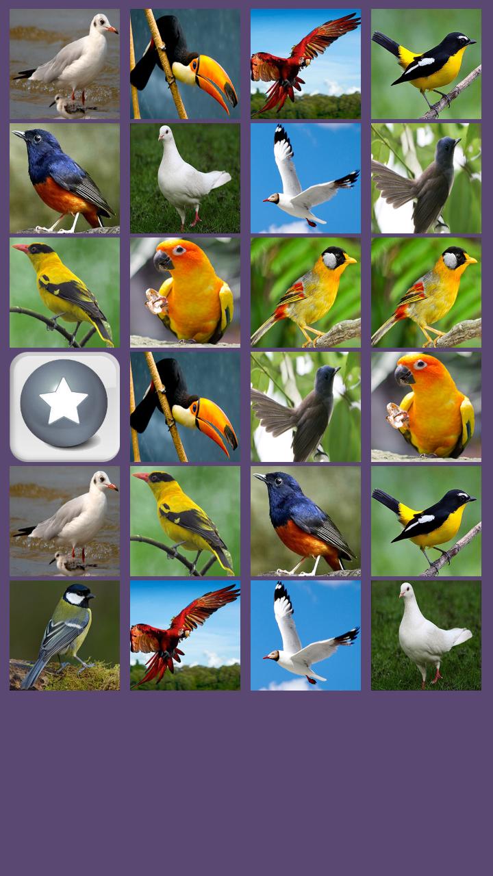 Birds Memory Game