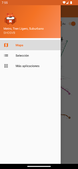 Metro, Tren Ligero, Suburbano.