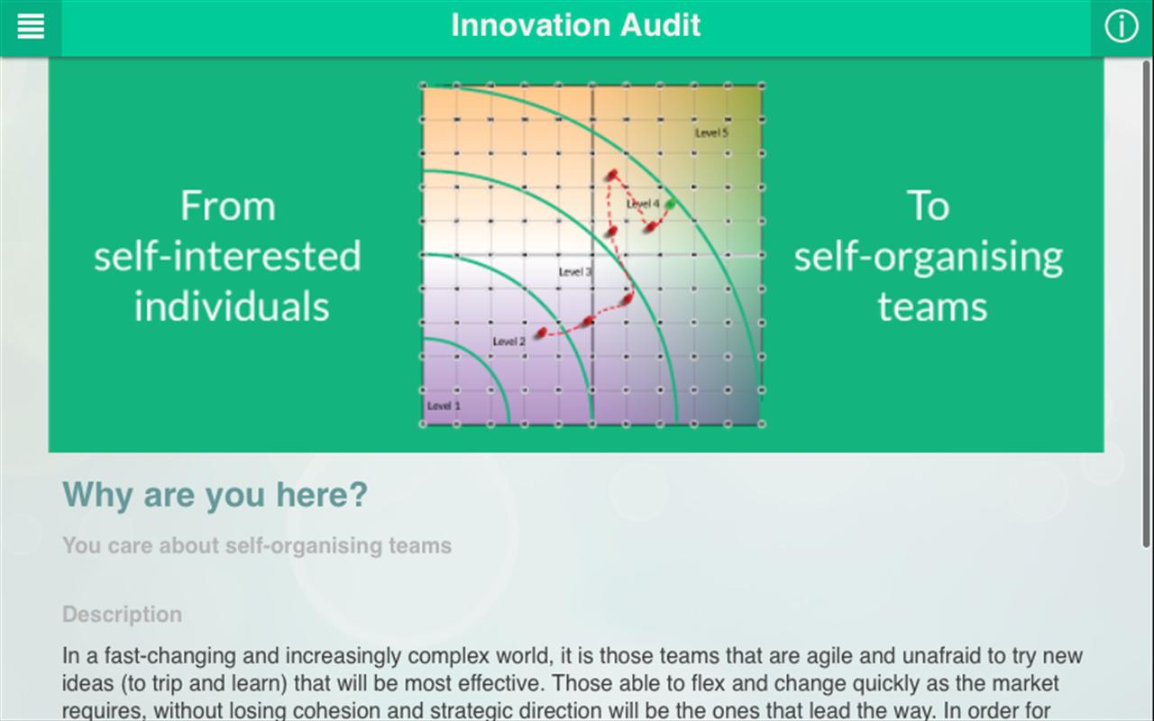 Innovation Audit