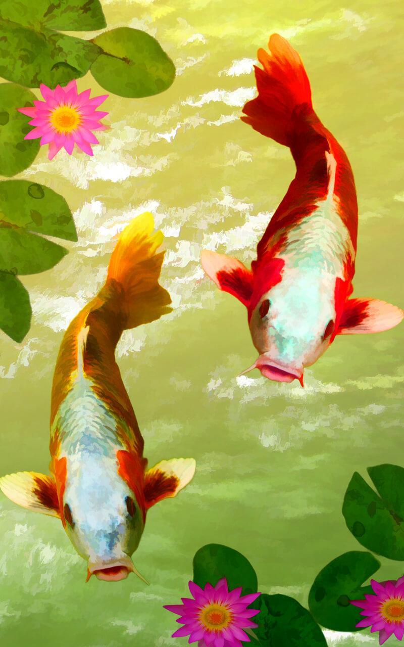 Koi Fish Live Wallpaper