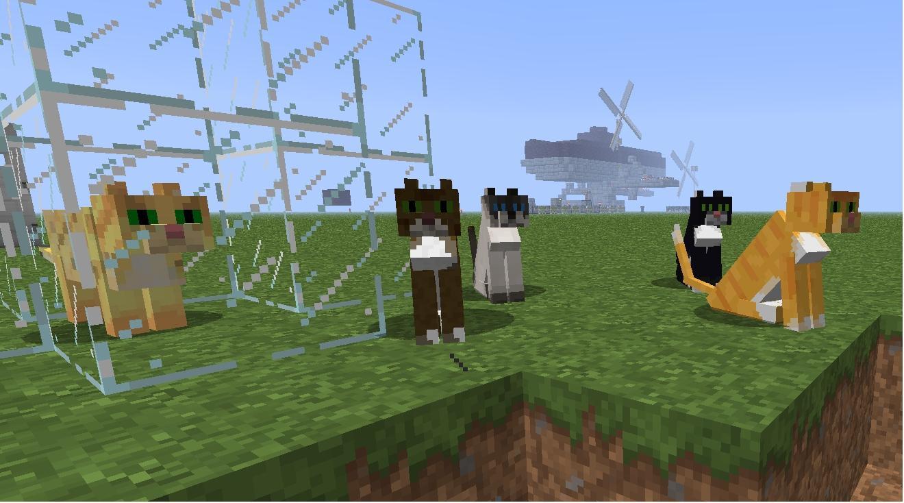 Cat Minecraft:PE
