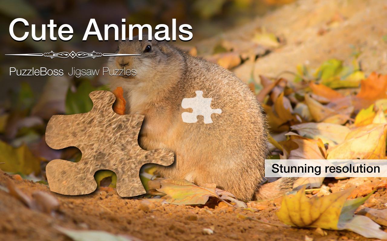 Jigsaw Puzzles: Cute Animals