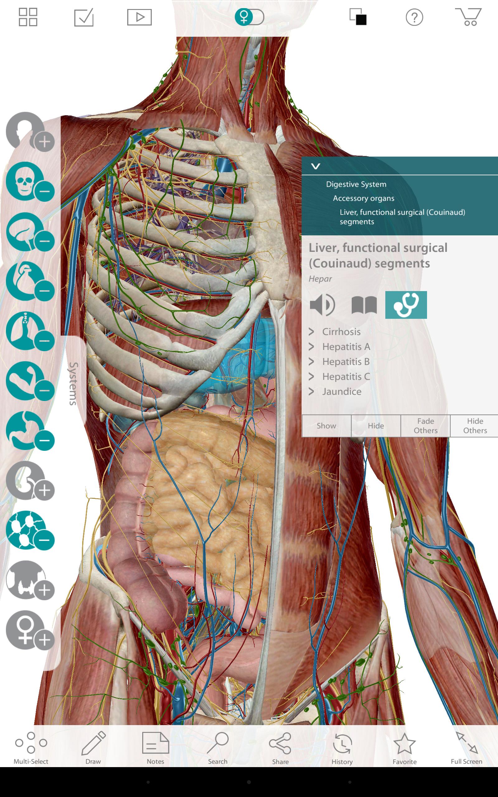 Human Anatomy Atlas 7-Springer