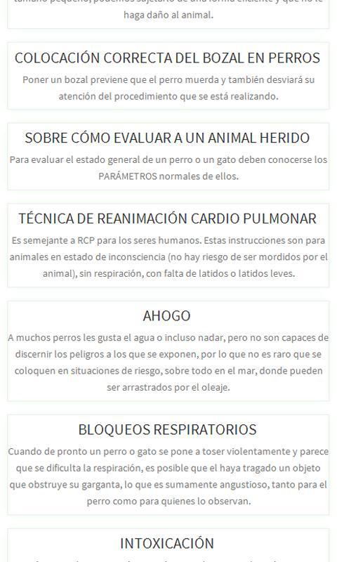 Gatos, Primeros Auxilios