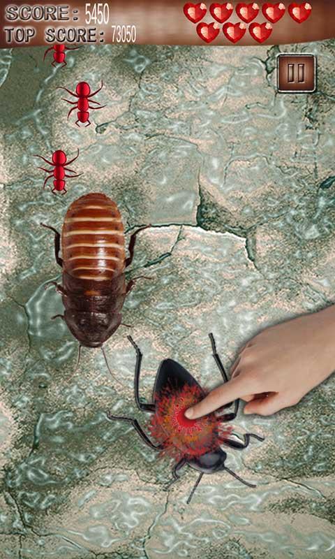 Ant and Bug kill Welt