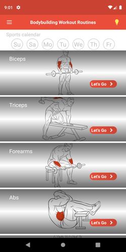 Bodybuilding Workout Routines