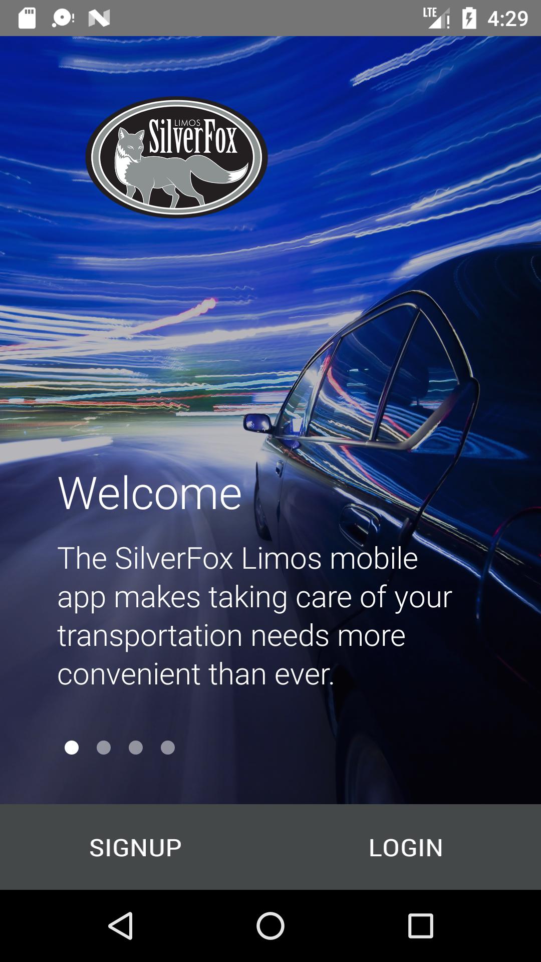 SilverFox Limos
