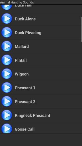 Animal Hunting Sounds