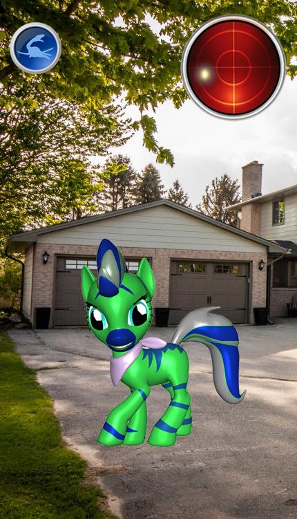 Magic Catch Pocket Horse : Pocket footprint Pony