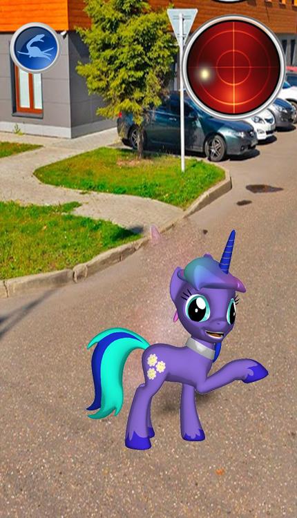 Magic Catch Pocket Horse : Pocket footprint Pony