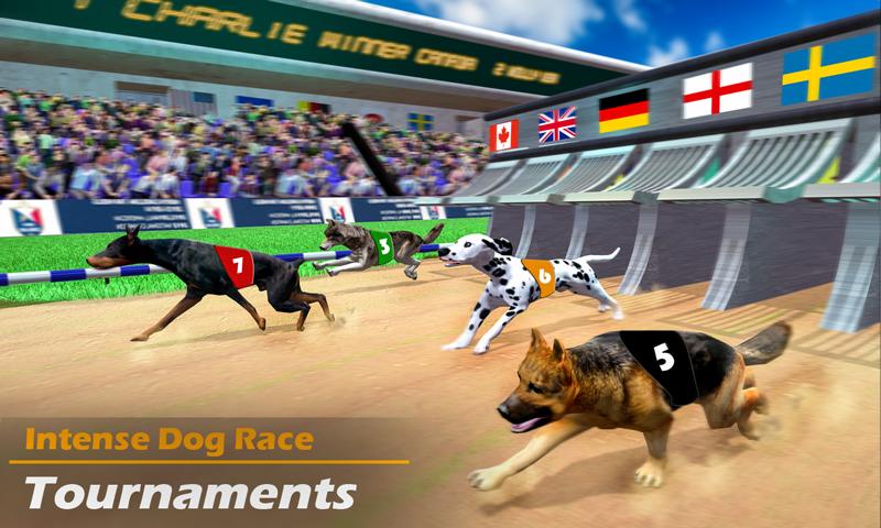 Racing Dog Simulator: Crazy Do