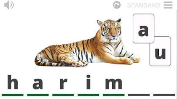 Lyrebird: Learn INDONESIAN