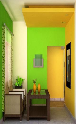 Interior Paint House Color