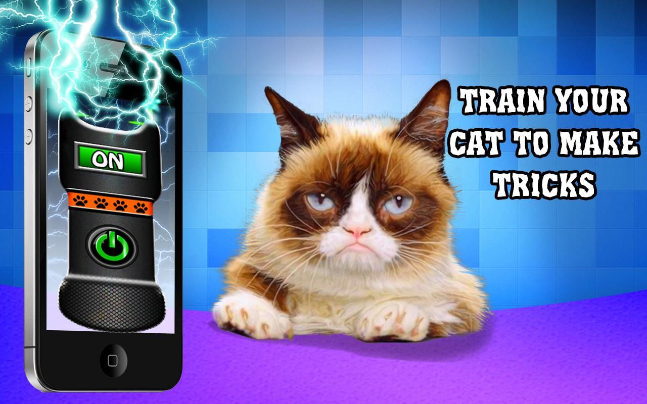 Cat simulator: stunner