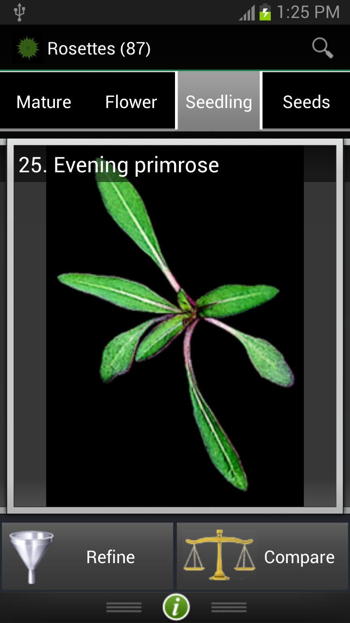 Weed ID: The Ute Guide