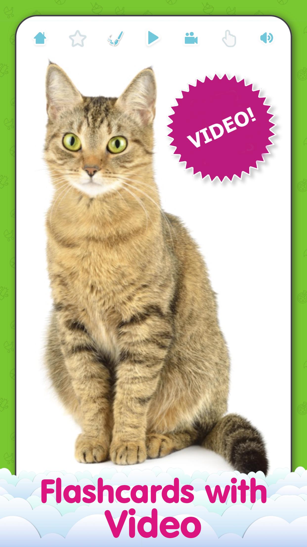 English Flashcards For Kids