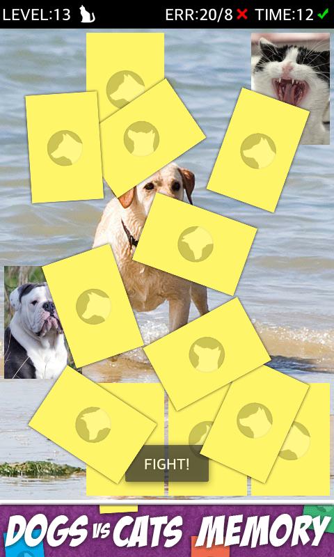Dogs Vs Cats Action Memory