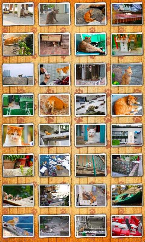 Find Photo Differences - Cats