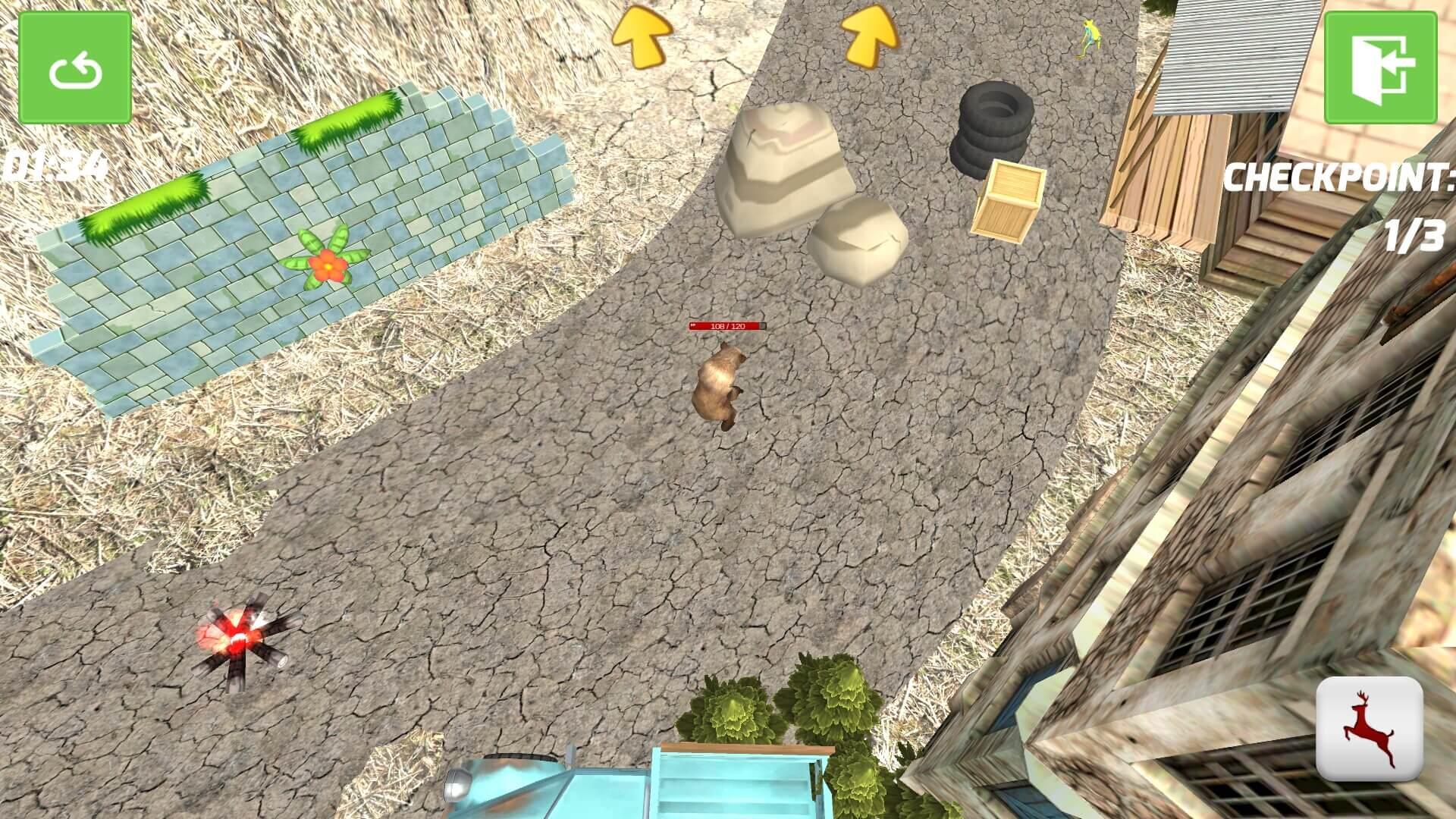 Bruin Bear Simulator