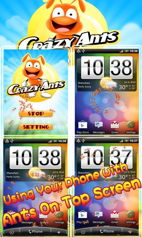 Crazy Ants - Raise on Screen