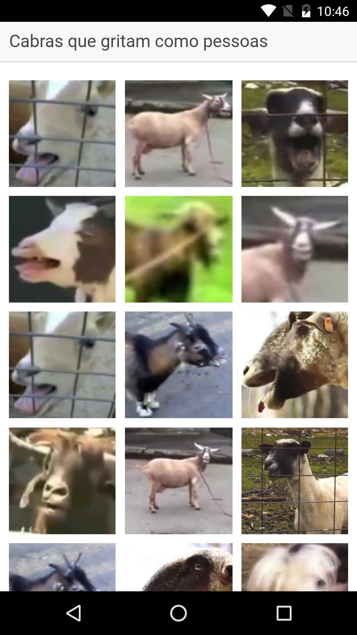 Cabras que gritam como pessoas