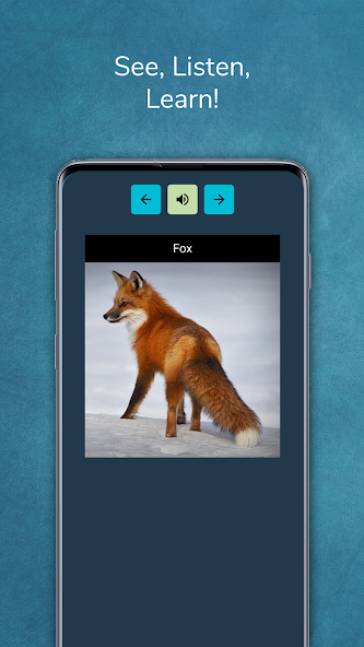 Phrasebook Learn Languages