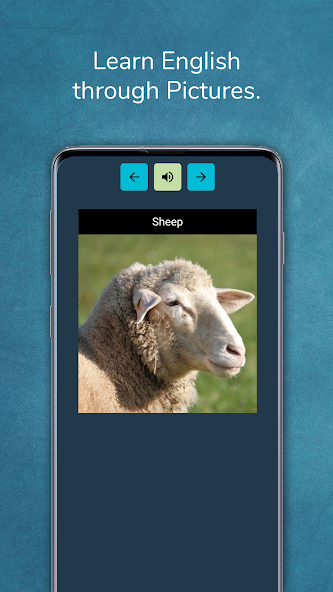 Phrasebook Learn Languages