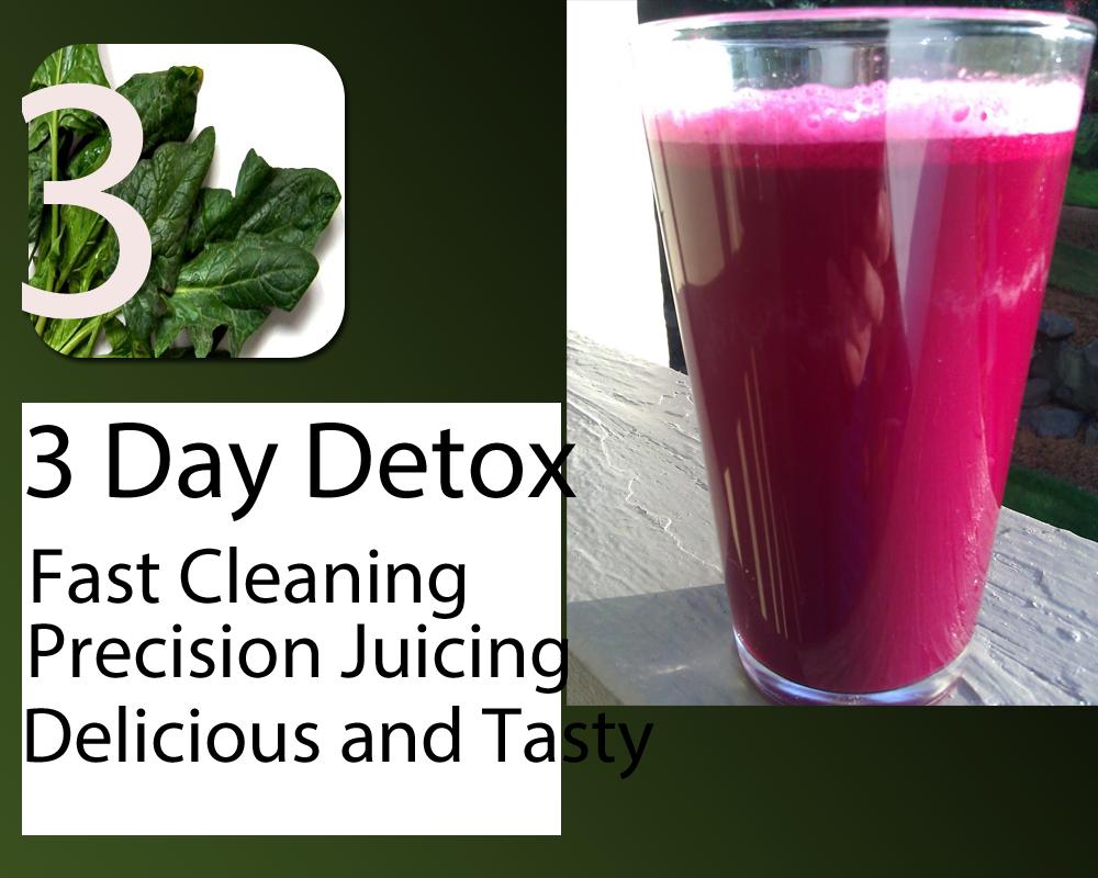 3 Day Detox Diet Plan