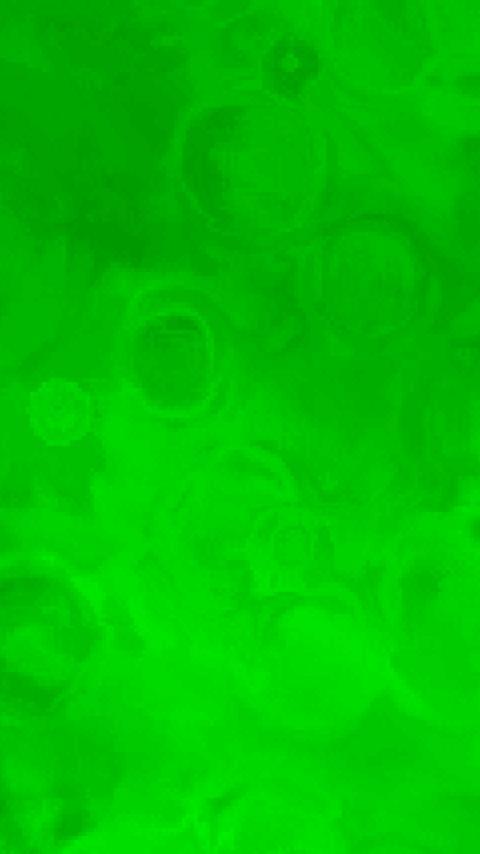 Live Water Wallpaper